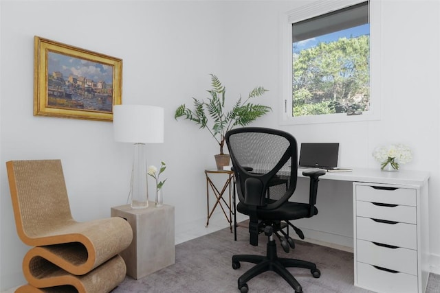 office space with light colored carpet