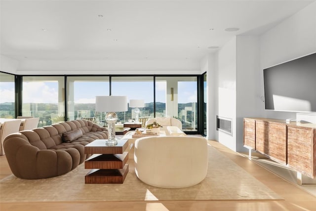 living room with light wood-type flooring