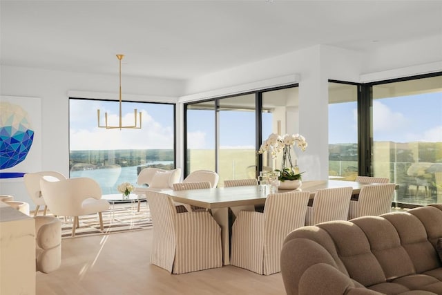 dining room featuring a water view, plenty of natural light, and light wood-type flooring