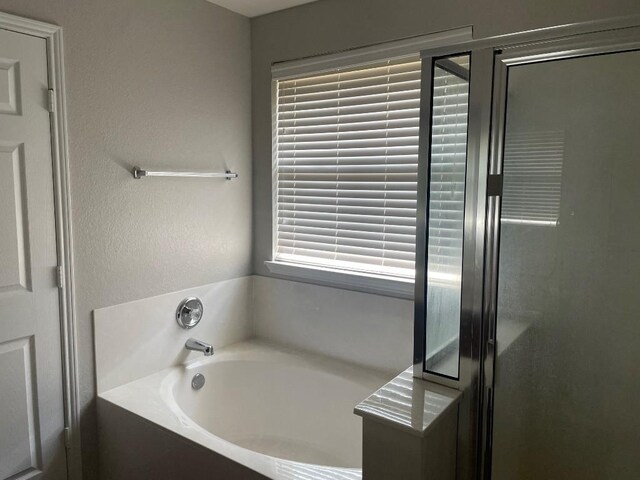 17905 Basketflower Bnd, Elgin, TX 78621 - bathroom featuring shower with separate bathtub