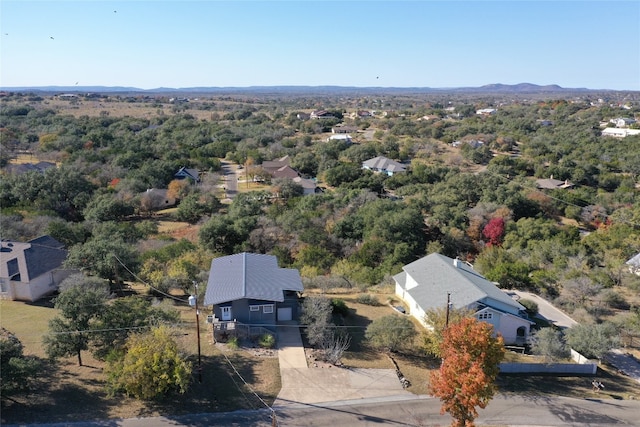 bird's eye view