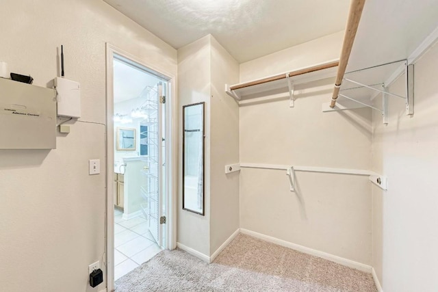 walk in closet with light colored carpet