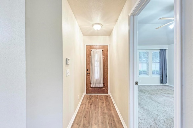 doorway with carpet floors