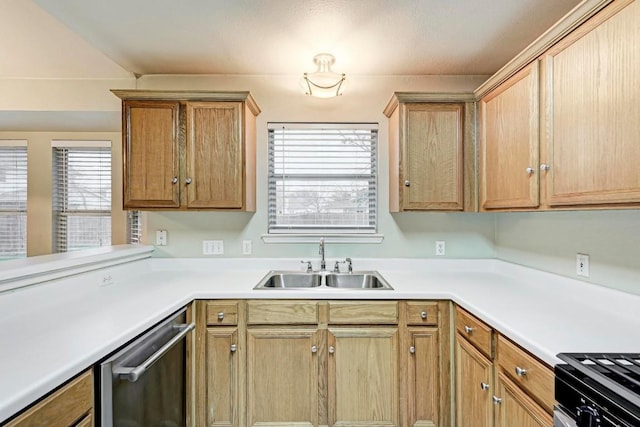 kitchen with sink and stainless steel dishwasher