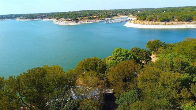 bird's eye view featuring a water view and a view of trees