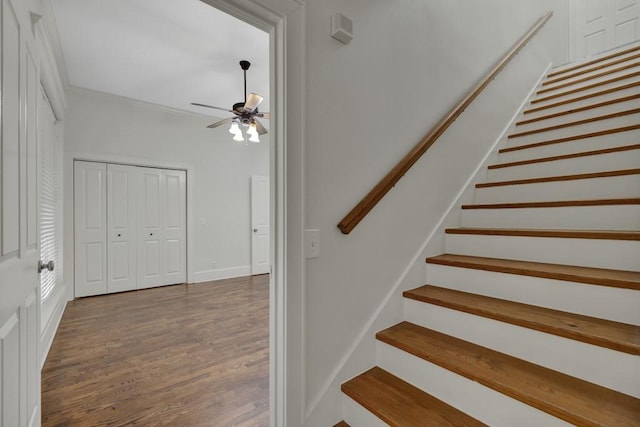 stairway with hardwood / wood-style floors and ceiling fan