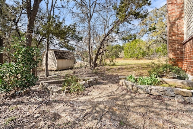 view of yard with a storage unit