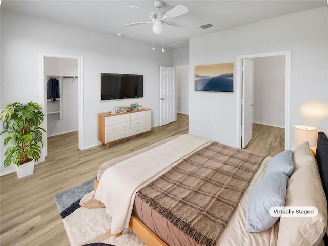 bedroom with ceiling fan, a walk in closet, light hardwood / wood-style floors, and a closet