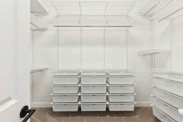 spacious closet with dark colored carpet