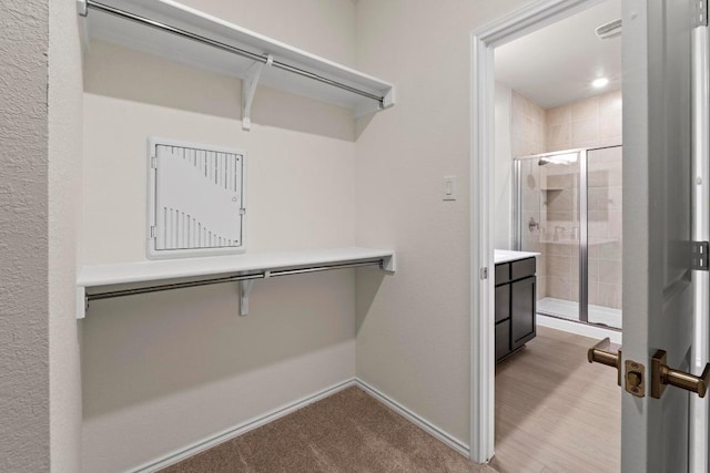 19216 Lady Bird Johnson St, Manor, TX 78653 - view of spacious closet
