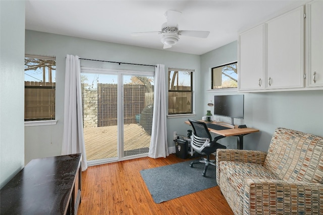 home office with ceiling fan and light hardwood / wood-style floors