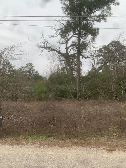 133 Koali Dr, Bastrop TX, 78602 land for sale