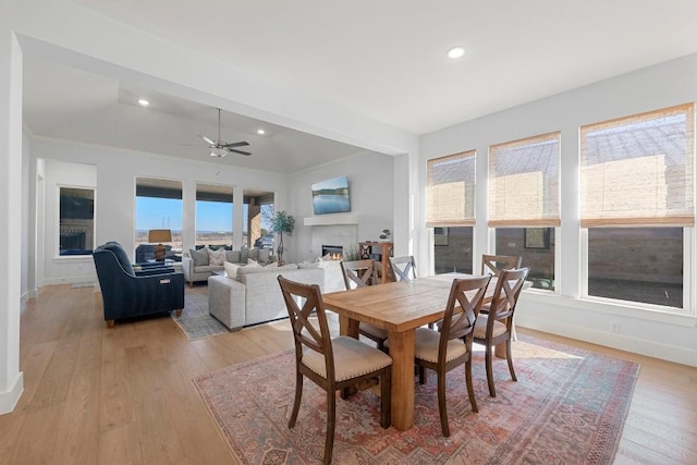 dining space with light hardwood / wood-style flooring and ceiling fan