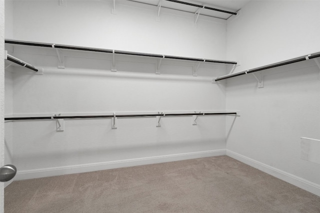 walk in closet with light colored carpet