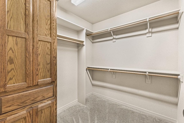 spacious closet with carpet floors