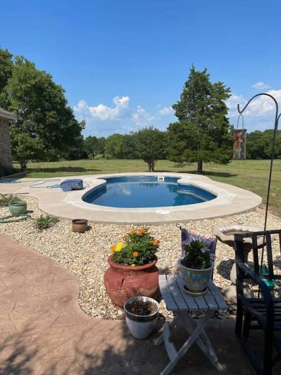 view of swimming pool with a yard