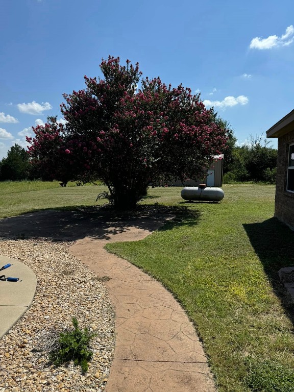 1504 County Road 459, Thorndale, TX 76577 - view of green lawn