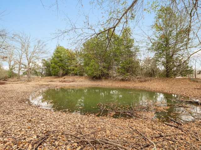 view of water feature