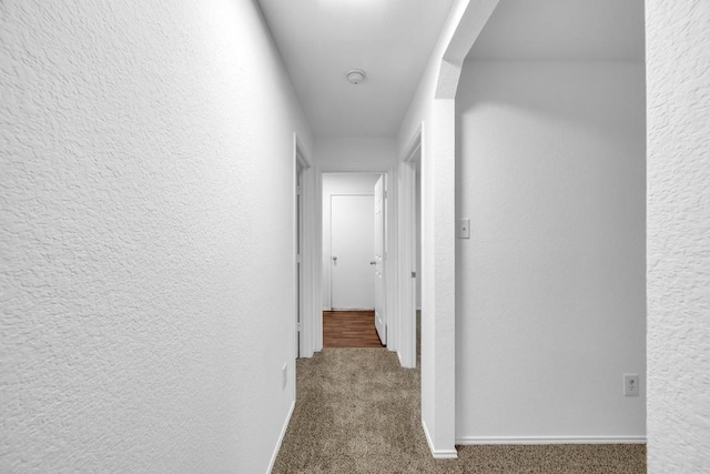 hallway featuring carpet flooring