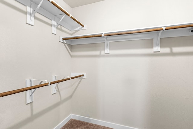 spacious closet featuring carpet floors