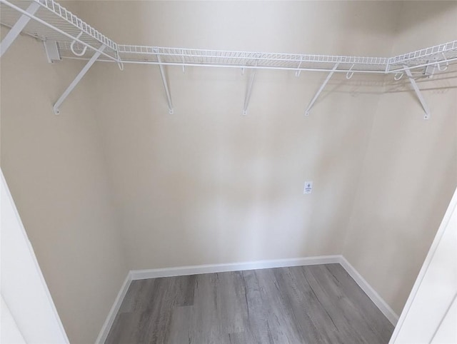 spacious closet featuring wood-type flooring