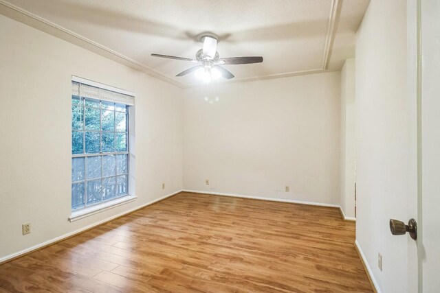 7920 Rockwood Ln Unit 202, Austin, TX 78757 - photo 5