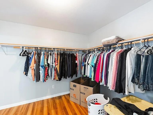 spacious closet with hardwood / wood-style floors