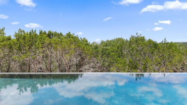 4600 Wild Cow Cv, Spicewood, TX 78669 - photo 14