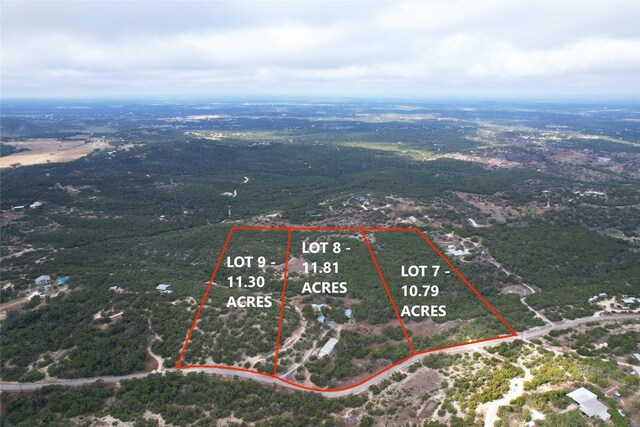 525 Plant Lady Ln, Dripping Springs, TX 78620 - bird's eye view
