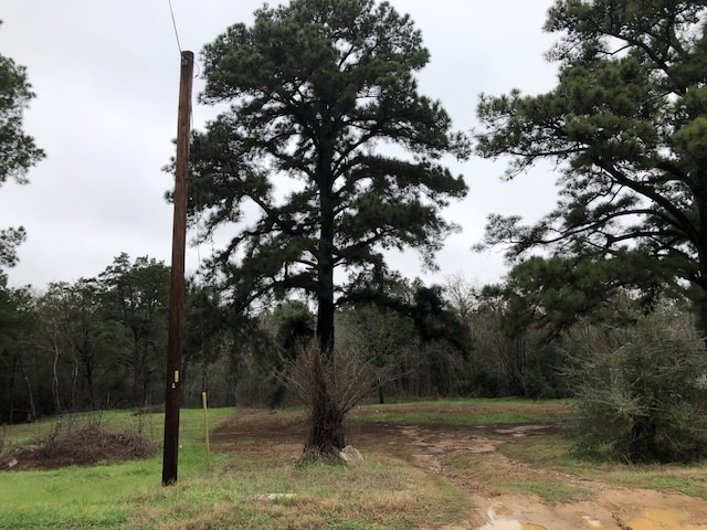 TBD Palmers Path, Bastrop TX, 78602 land for sale