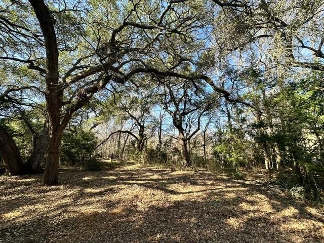 view of local wilderness