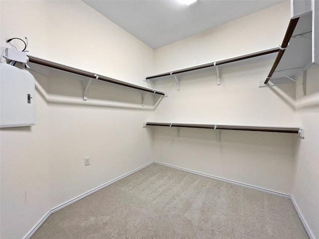 spacious closet featuring carpet floors