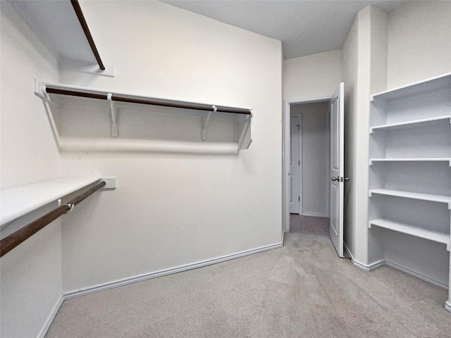 spacious closet with light colored carpet