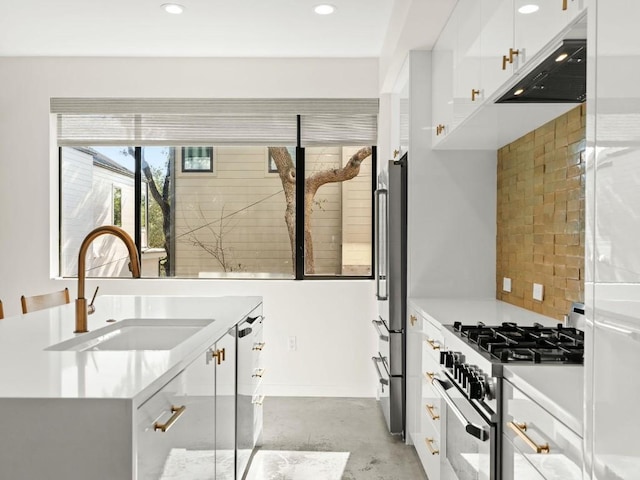 kitchen with ventilation hood, white cabinetry, sink, backsplash, and high end appliances