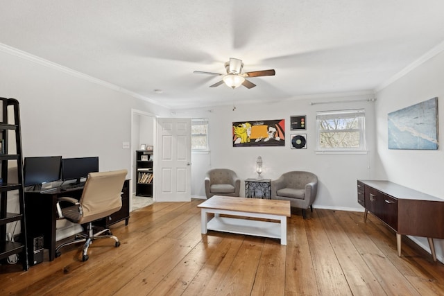 office with crown molding, a wealth of natural light, ceiling fan, and light wood-type flooring