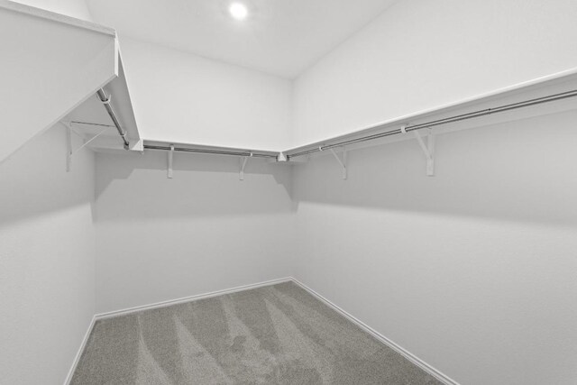 4829 Mozzafiato Ln, Round Rock, TX 78665 - walk in closet featuring carpet