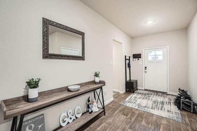 foyer featuring hardwood / wood-style floors