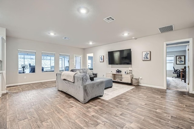 living room with light hardwood / wood-style floors and a wealth of natural light