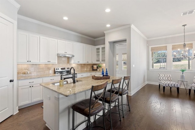 216 Fairlake Cir, Austin, TX 78734 - kitchen featuring under cabinet range hood, electric range, dark wood-type flooring, tasteful backsplash, and white cabinetry