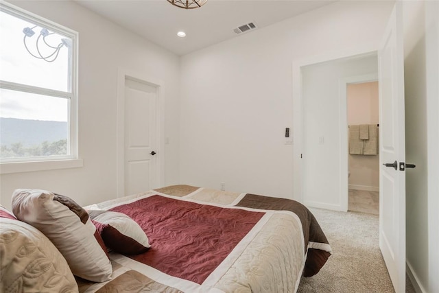 18208 Gregg Bluff Rd, Jonestown, TX 78645 - bedroom featuring light carpet and recessed lighting