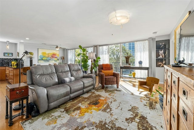 living room with a wealth of natural light