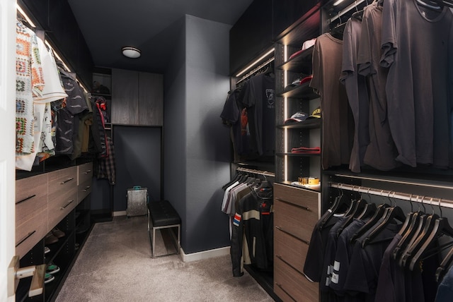 walk in closet with carpet flooring