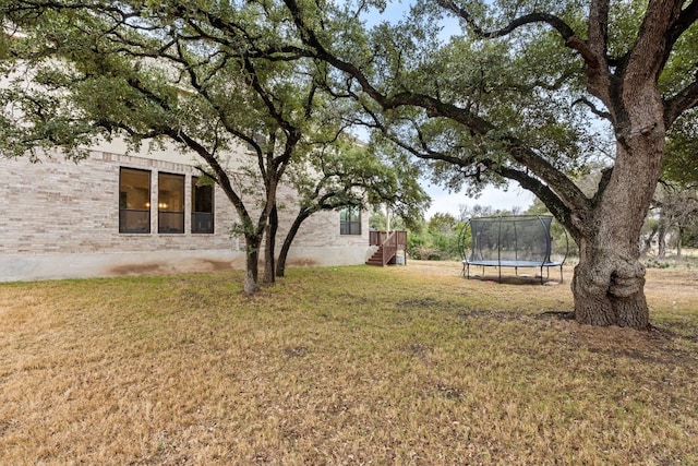 208 Tovas Secret Cv, Georgetown, TX 78628 - view of green lawn featuring a trampoline