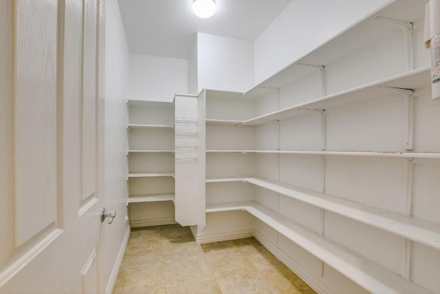 317 Yellow Rose Trl, Georgetown, TX 78633 - view of pantry