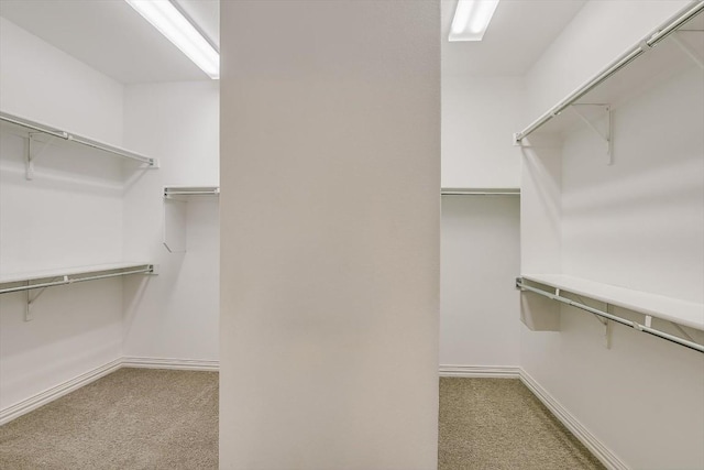317 Yellow Rose Trl, Georgetown, TX 78633 - spacious closet with carpet flooring