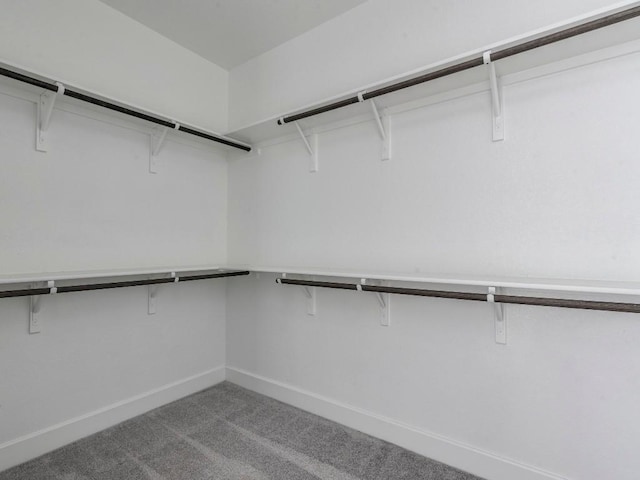 spacious closet with carpet floors