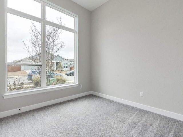 spare room featuring carpet floors