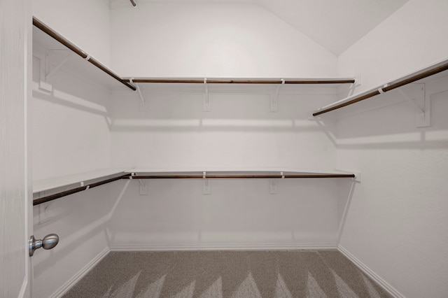 spacious closet featuring carpet and lofted ceiling