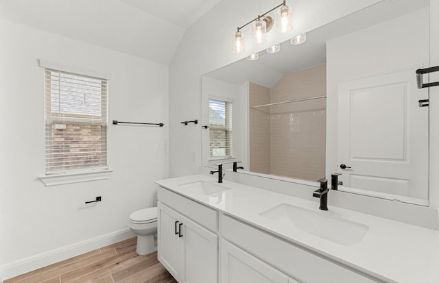 237 Silver Ridge Dr, Georgetown, TX 78633 - full bath featuring lofted ceiling, wood finished floors, a shower, baseboards, and toilet