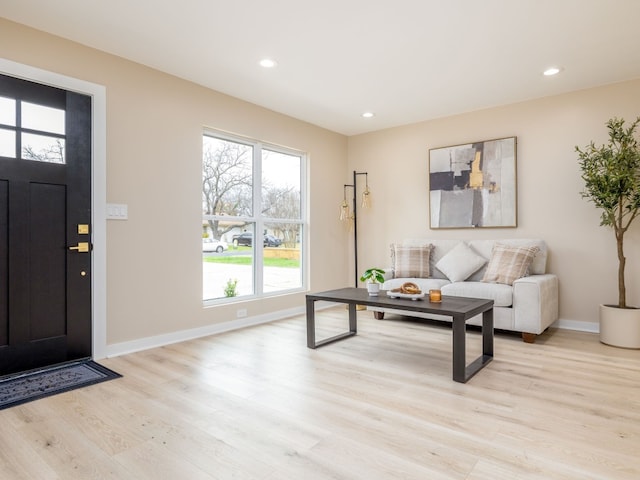 living room featuring light hardwood / wood-style floors